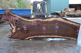 031219-12 Oregon Black Walnut Slab