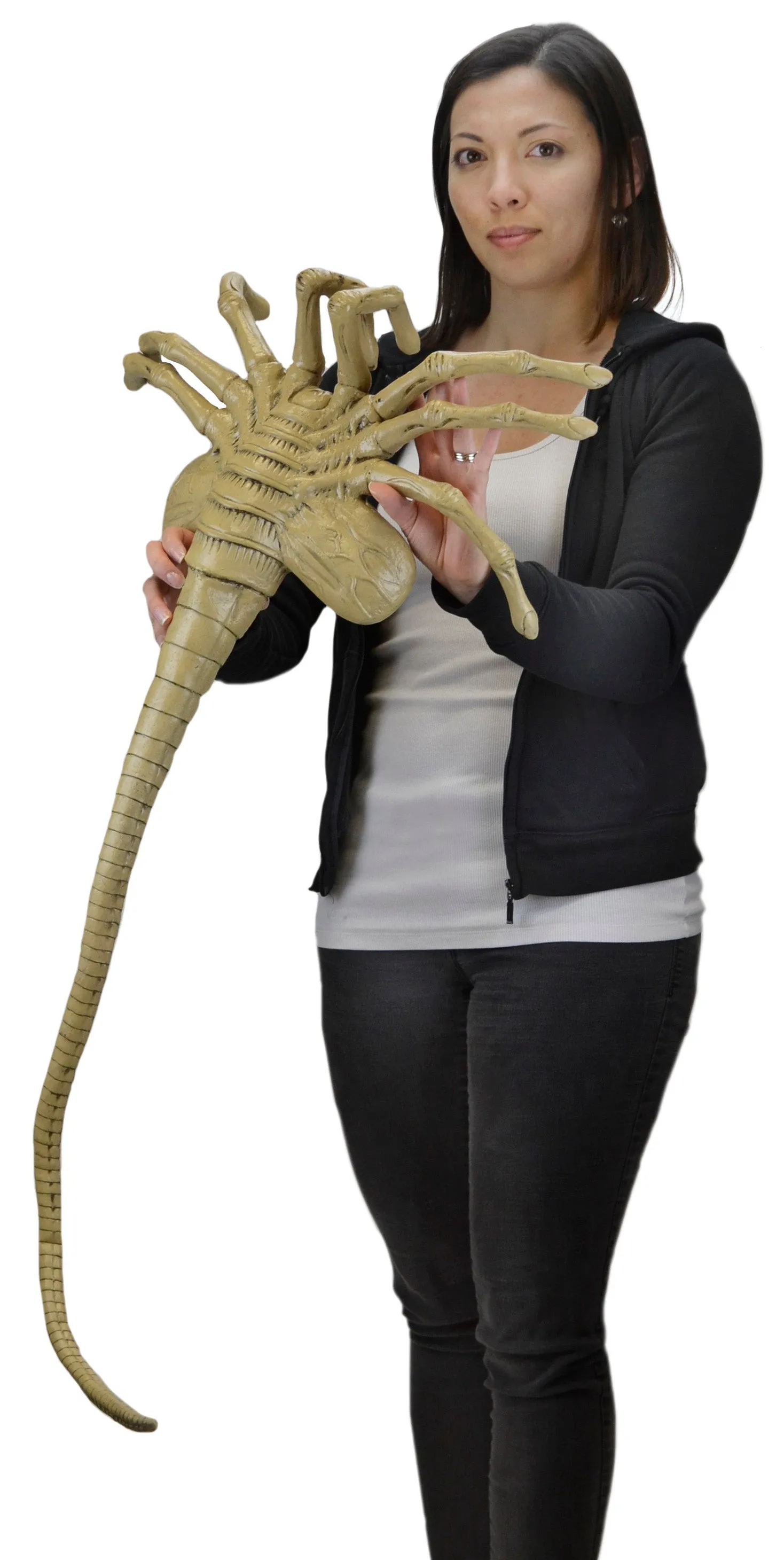 Facehugger - Lifesize Foam Prop Replica - Aliens - NECA Collectibles