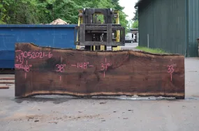 Oregon Black Walnut Slab 052021-06