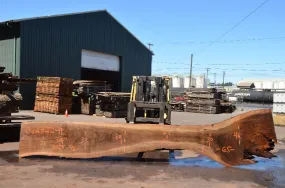 Oregon Black Walnut Slab 062322-11